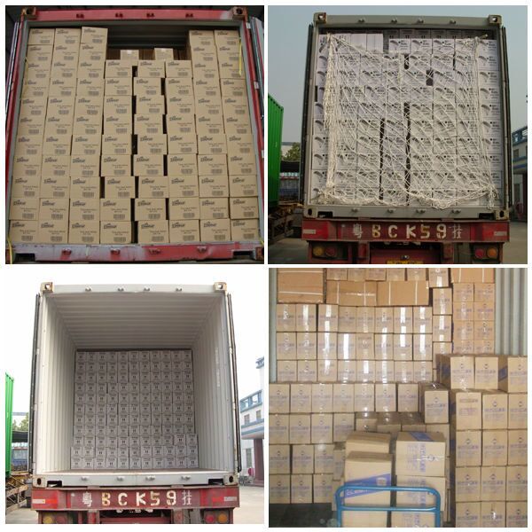 Wholesale Aerosol 500ml Aeropak Animal Marking Paint Livestock Animal Marker Spraying Paint