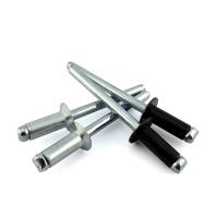 DIN 4mm Large Flange Pop Rivets Aluminium Steel Open Dome Head Blind rivet for Brands