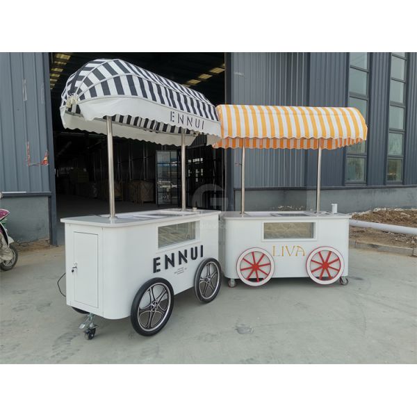 Customized beautiful Gelato Ice Cream Pop Cart Hand Push Mobile Van with umbrella