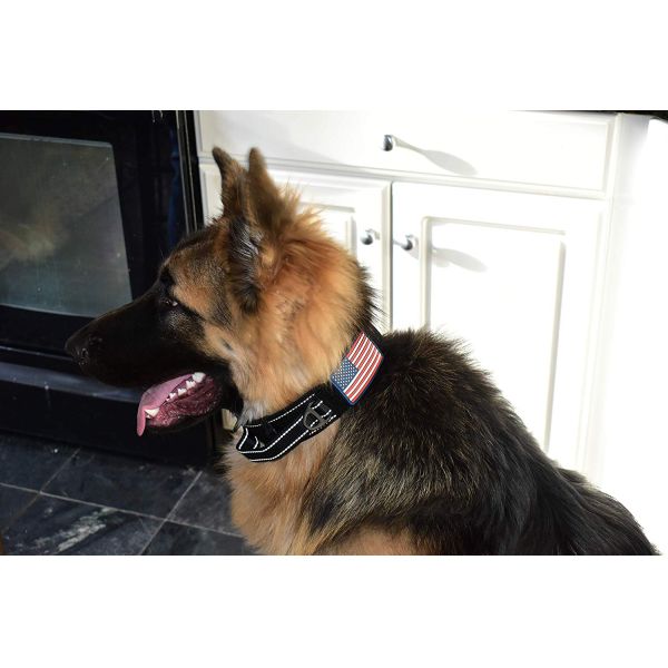 Metal Buckle Military Dog Collar Nylon Reflective K9 Quick Release Fit All Seasons