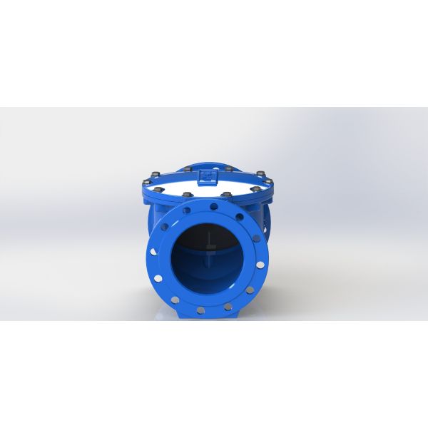 EPDM Seal Swing Flex Check Valve with DN50-700 Size Range and PN10/PN16 Flange Connection