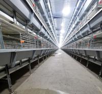 160 Pássaros / Conjunto Sistema Automático Completo de Caixa de Bateria Equipamento de Alimentação Avícola
