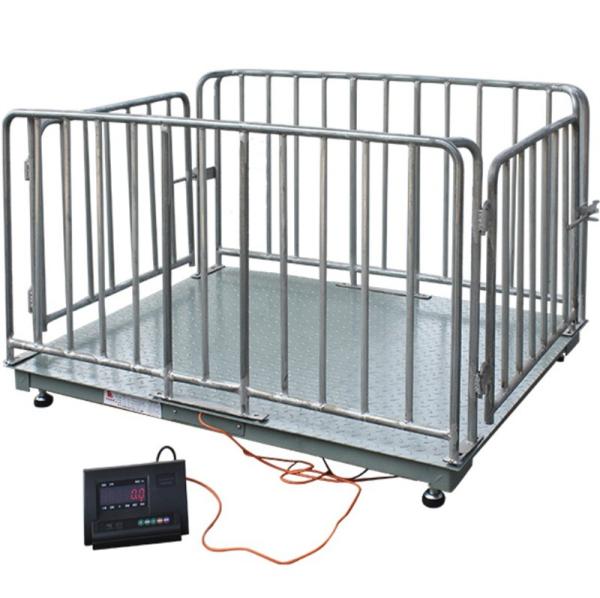 Fonction de pesage pour porcs, bovins et ovins - Balance électronique de pesage avec capacité de 1 à 3 tonnes pour une pesée précise en élevage