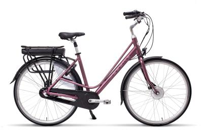 Top grade city electric bicycle for lady,bafang motor 36V 250W,Shimano Rollerbrake,36V13AH LG Cells