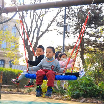 Customized Color 100 120cm Swing Nest Bird Nest Swing With Hanging Ropes