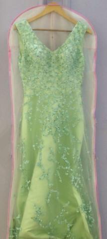 dress bag