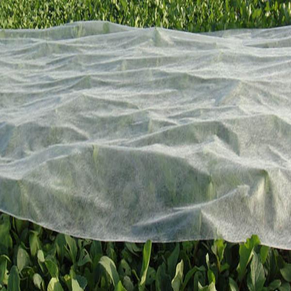 Tela não tecida de 100% PP Spunbond, tela não tecida da paisagem para o inverno
