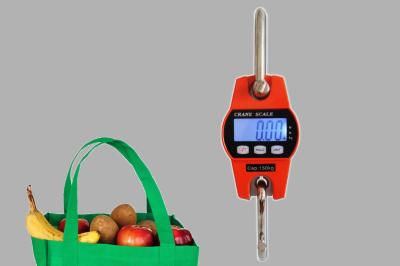 50g/100g Accuracy Digital Weight Hanging Scale , Crane Weighing Machine