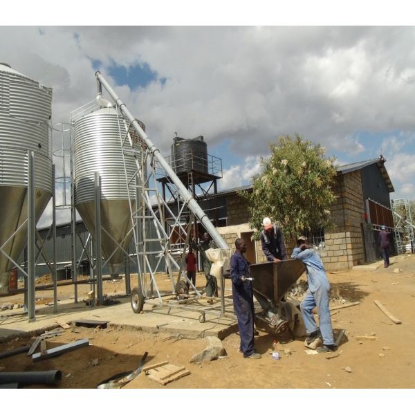 Бесплатный Дом Руководство 4 уровень А Тип Яйцевой слой Куриная клетка 160 Птицы Вместимость