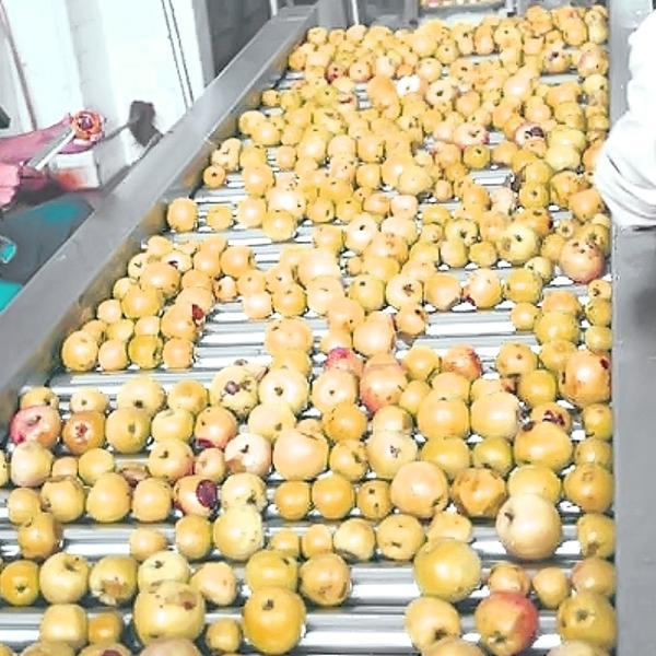 Fruit / Vegetable Processing Roller Sorting Machine Stainless Steel Roller Tube