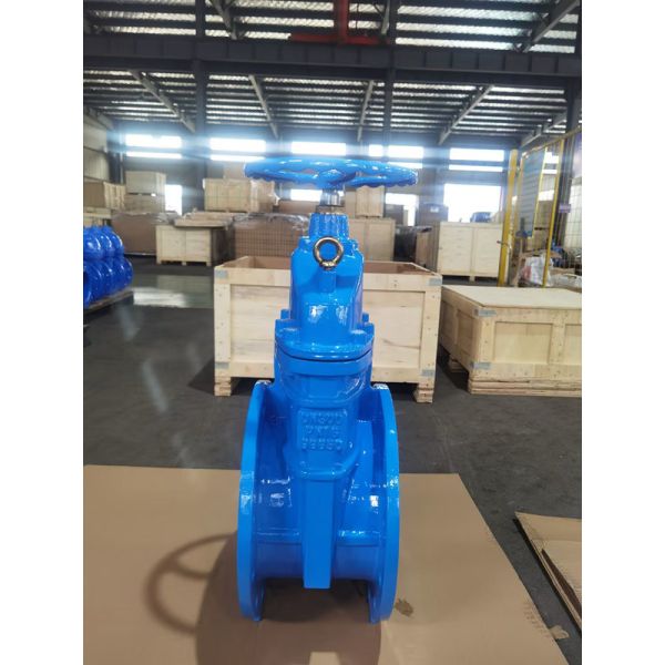 OEM 10" Soft Seat Gate Valve Ductile Iron Valves DN250