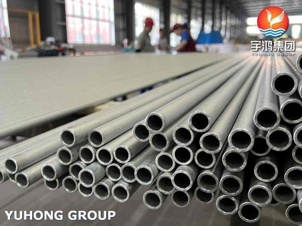 Seamless Superheater Boiler Tube Bundle ASTM A213 TP316H Stainless Steel