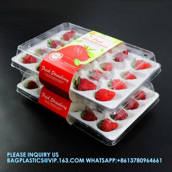 Wholesale Transparent Fresh Strawberry Packaging Container Supermarket Food Plastic Box Plastic Strawberry Packing Box