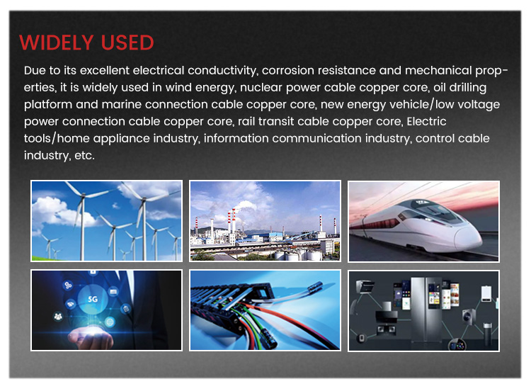 Золотая 99,95% Медная продукция C1100 C1200 C1020 C5191 Чистая медная катушка