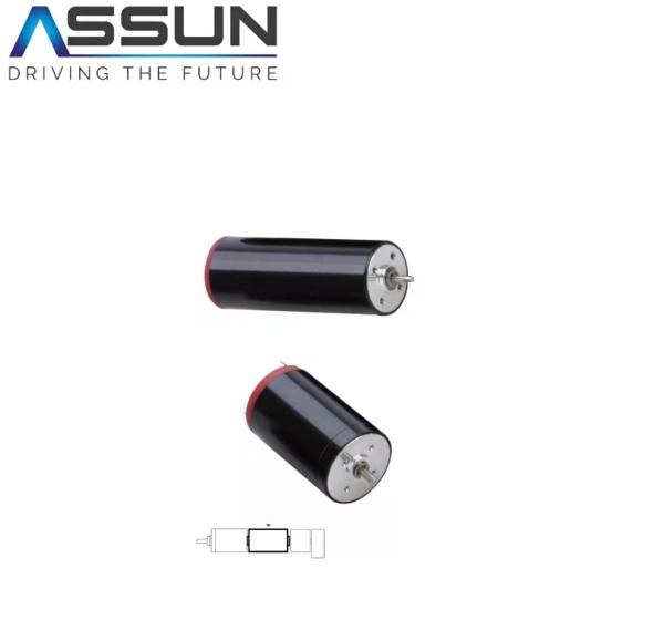 DC Graphite Brush Coreless Motor.DC Brush Motor Carbon Brush DC Motor6V12V24V48V
