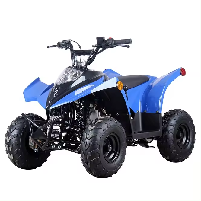 Compact Chain Transmission ATV 125cc 110CC 70CC with Low Fuel Consumption