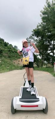15.6'' Front wheel Precursor Driving Electric E Scooter