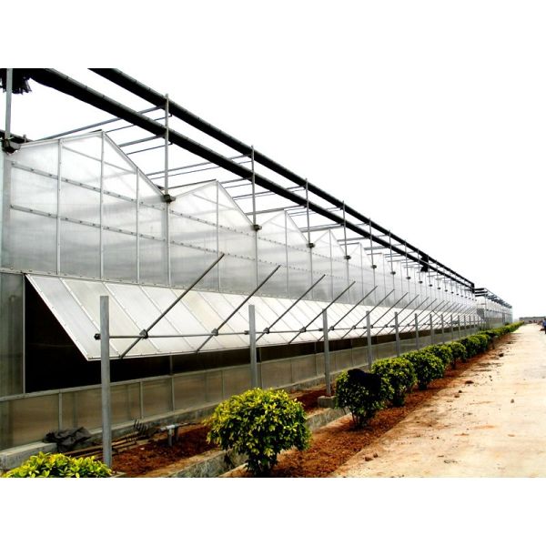 Venlo Galvanized Steel Pipe Greenhouse with Tower Garden and Optimal Shading System