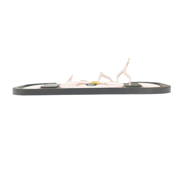 25W Fast Charging Wireless Charging Coil with 3 Coil Design for Multi-Device Charging in A6 Car