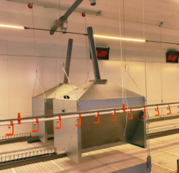 Low Maintenance Poultry House Equipment with 20+ Years Lifespan and 12,000 Eggs per Hour Collection