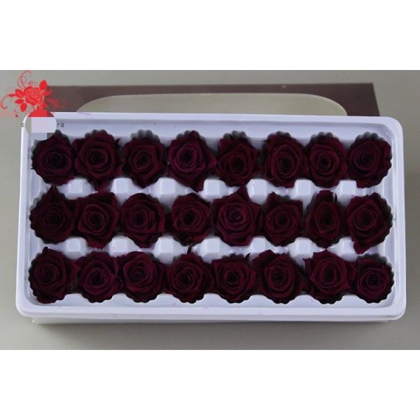 Wholesale real preserved rose stabilized natural preserved fresh flowers for Valentines day