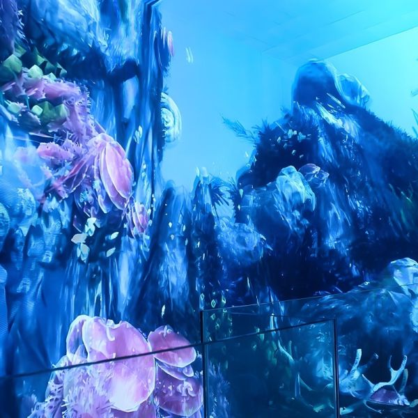 Custom 4k Large Screen Holographic Theater Interactive Viewing Projector