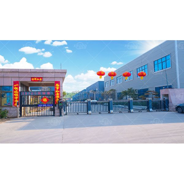 Customizable for Customers Metal Sorting Eccentric Rotor Magnetic Eddy Current Separator Price