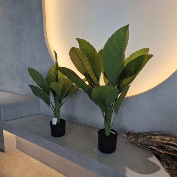 耐久性のあるプラスチック素材 人工植物 70cm 人工ダイフェンバキア 木