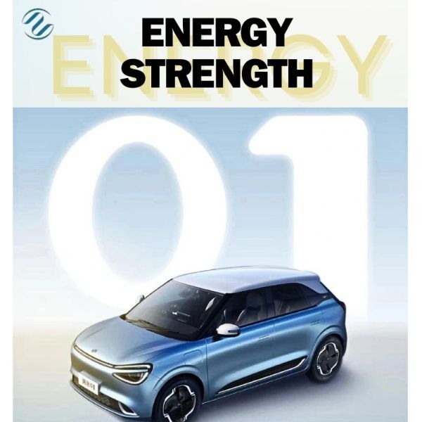 Véhicule électrique pur Dongfeng Nano 01 2024 330Liter Avec une vitesse maximale de 140km/h