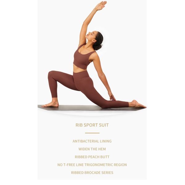 Женщины пошутили над Activewear спортзала йоги устанавливают спортзал 2 части установила RGS