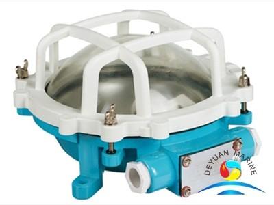DS7 Series Marine Electric Equipment Work Light Ceiling Type 220V