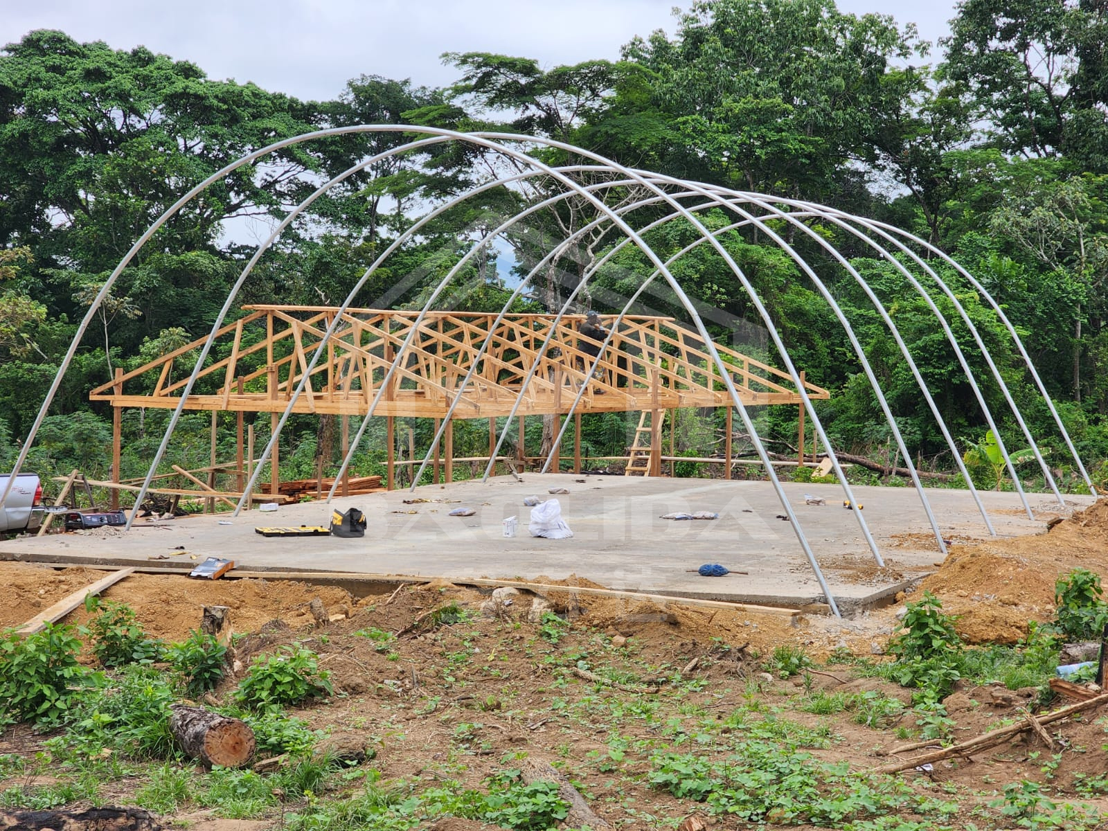 Контролируемая окружающая среда сушки теплицы с ПК доска для сушки трав и фруктов