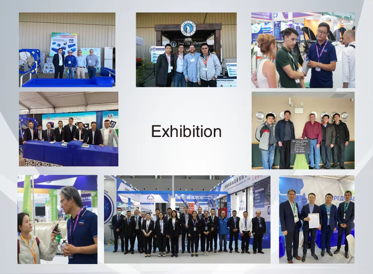 EC Большой промышленный выхлопный вентилятор Электрический мотор Промышленный циркуляционный вентилятор для теплицы