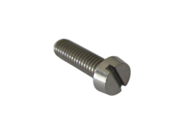 Customized Titanium Slotted Head Screws For Industrial