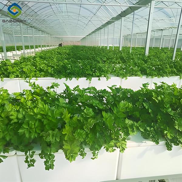 Customizable Agricultural Greenhouses Aeroponics Lettuce Hydroponics System