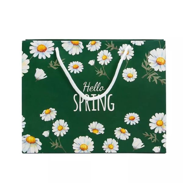 Printed Luxury Paper Cookie Bags 350gsm 450gsm Shoe Paper Bag