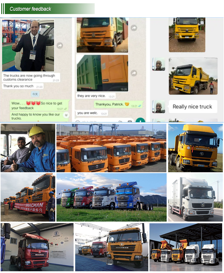 Shacman H3000 336Hp 6X4 4X2 грузовые грузовики производительность для рынка экспресс-транспорт