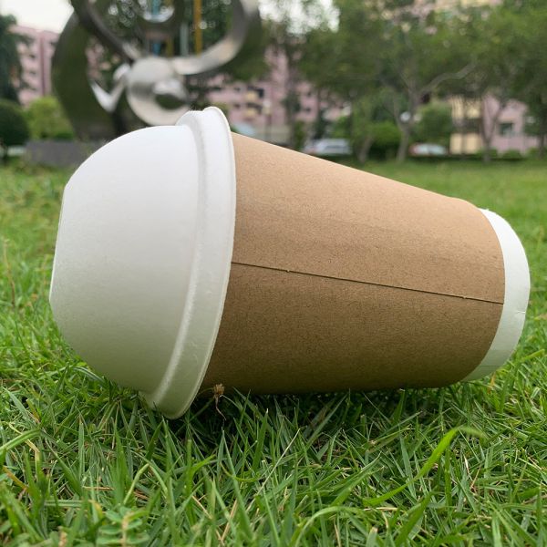 Disposable 80mm Dome Take Away Sugarcane Pulp 100% Biodegradable Paper Cup Lids 90mm Natur For Tea C