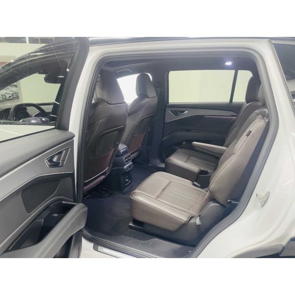 Audi Q5 e-tron 2023 40 e-tron S line Black Warrior Edition
