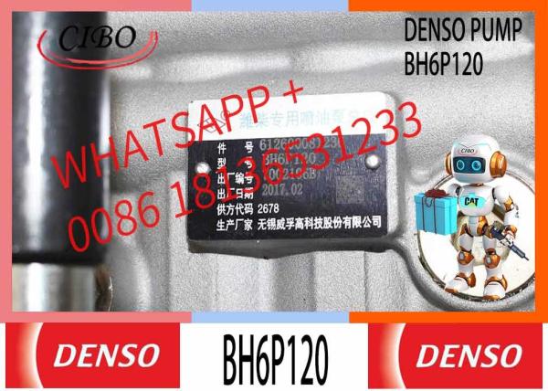 Engine Parts Shanghai C6121 3306 Diesel Engine Longbeng Fuel Injection Pump BH6PA110 BH6P110 BH6P120