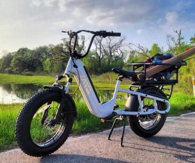 20 Inch Long Tail Electric Cargo Bike 48V Folding Urban Commuter Ebike for Family Kids Pets Large Rack City Transport