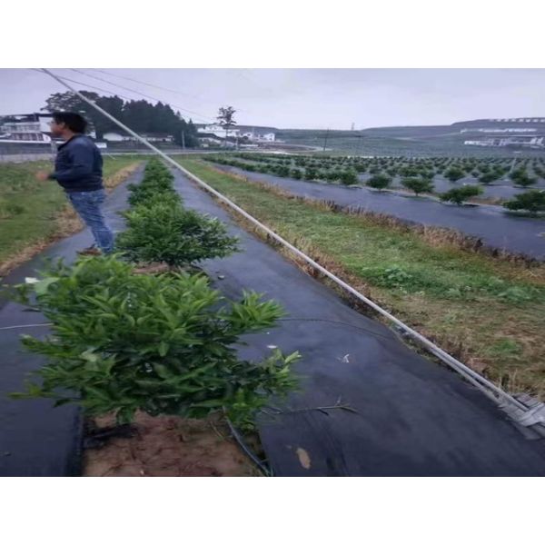 Permeable Landscape Mat Weed Barrier Fabric Premium  For Garden Yard