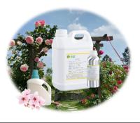 Limpeza líquida amarelo claro Perfumes Sakura Perfumes para fazer detergente
