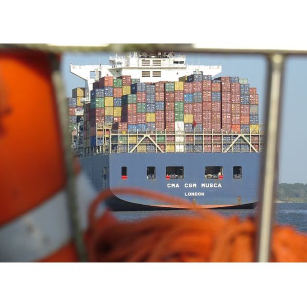 LCL FCL Oceania Freight , International Sea Freight Services