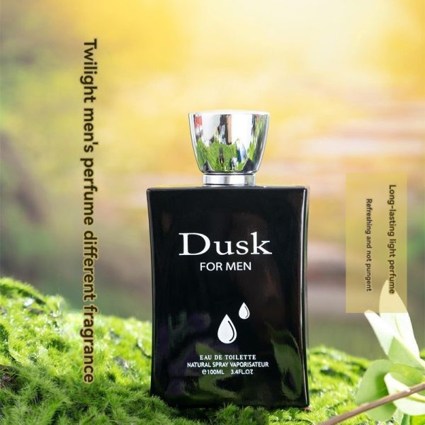 Floral Scent Perfume 100ML Wood fragrance Fresh Lasting Eau de Toilette for Urban Men