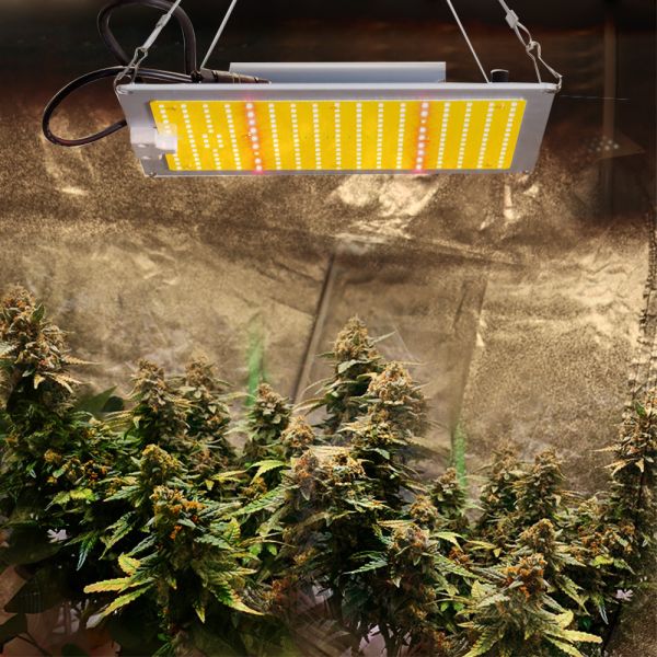 OEM Indoor Weed PCB Lm301b Quantum Board Plant Grow Lamp Board