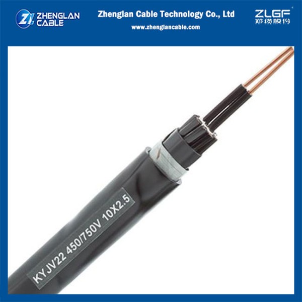 0.6/1kV XLPE Insulated Control Cable Copper Conductor PVC Sheathed - Armored Control Cable for Power Stations