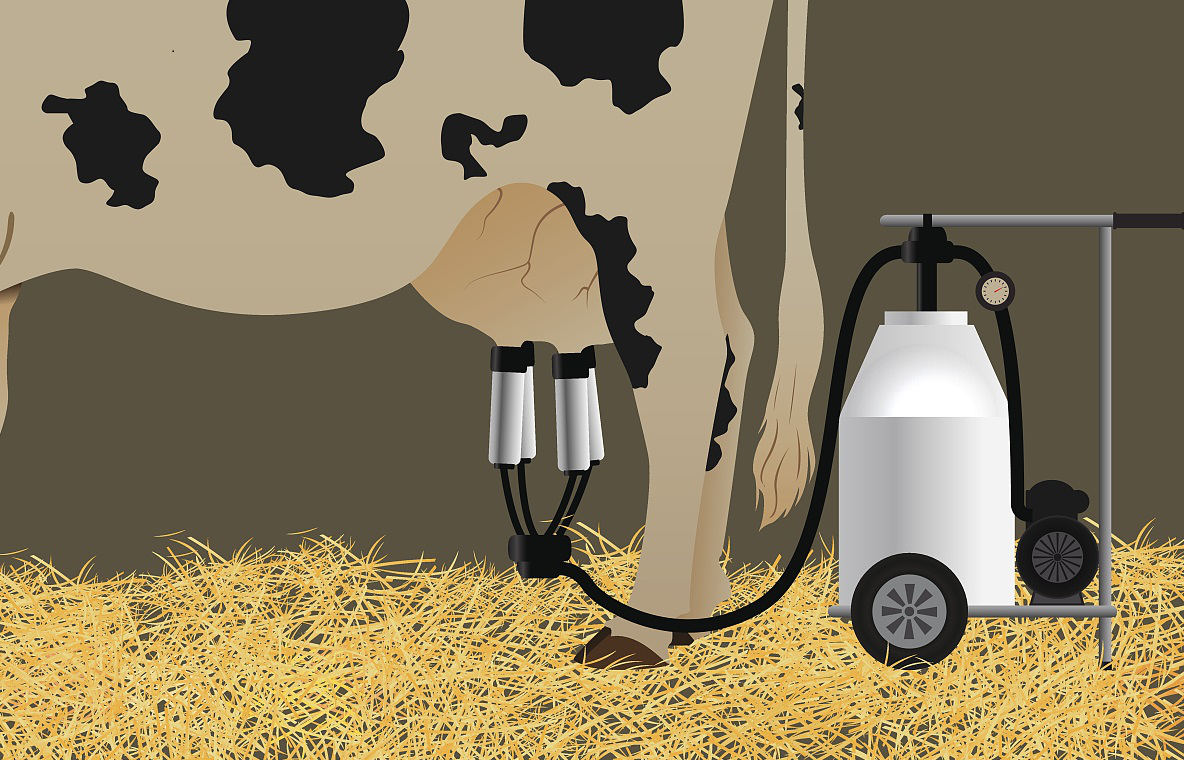 Camel Single Portable Mini Cow Vacuum Pump Milking Machine 25L