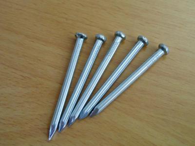 Hot Sale Screw Galvanized Nails