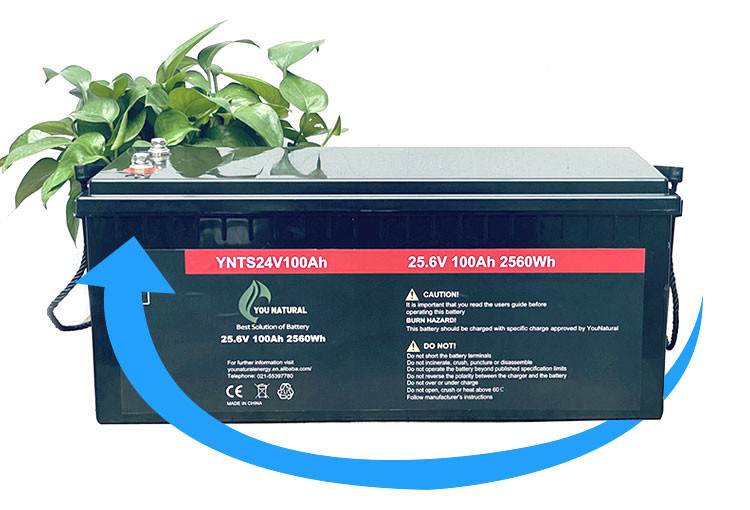 литий-ионные аккумуляторы жизни длительного цикла 2560wh циклов батареи 3000 24V LiFePo4 100ah перезаряжаемые